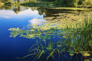 Следком начал проверку после гибели мужчины в Клязьме во Владимире