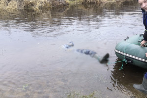 Во Владимирской области в Клязьме нашли труп рыбака