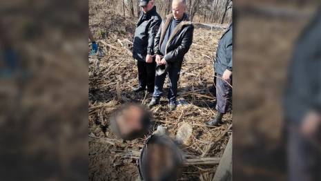 В Муроме отложили суд по делу о расчленении бизнесмена