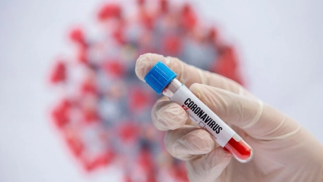 Коронавирус во Владимирской области: 14 апреля