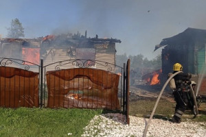 Во Владимирской области пожарные спасли деревню от огня