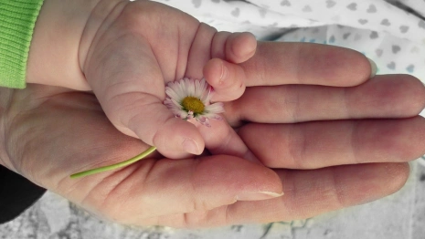 Беременную жительницу Владимира транспортировали на вертолете в Москву