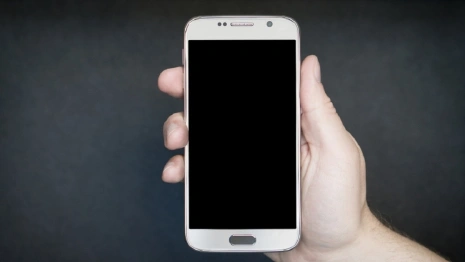 Жителя Владимирской области осудили за призывы к терроризму в telegram-канале