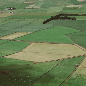 Во Владимирской области 11 многодетных семей получили участки без коммуникаций 