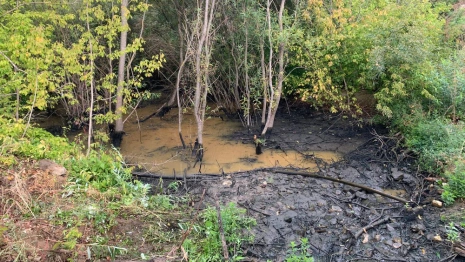 Причиной резкого запаха у ДТЮ во Владимире стал застой ливневых вод под мостом