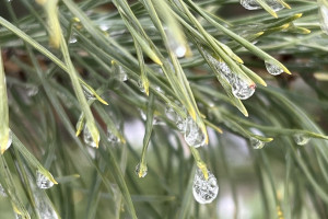 Прогноз погоды во Владимирской области на 18 января 2025 года