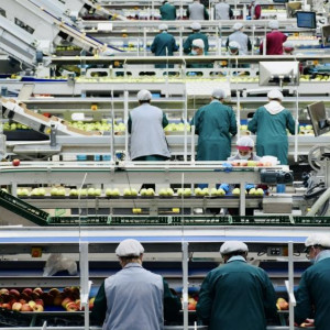 Во Владимире невыплата зарплаты 16 работникам торгового предприятия обернулась уголовным делом