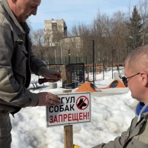 Во Владимире запретили выгул собак на газонах