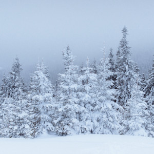 Прогноз погоды во Владимире и области на 12 декабря