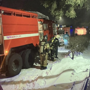 На пожаре во владимирском поселке эвакуировали 65 взрослых и 20 детей