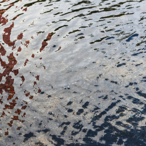 В половодье во Владимирской области может затопить 25 деревень и сел