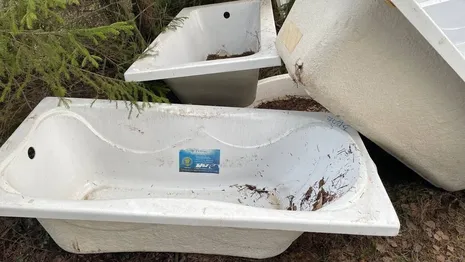 Производитель прокомментировал кладбище ванн в лесу под Ковровом