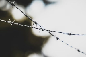 Житель Владимира получил 11,5 лет колонии за убийство возлюбленной