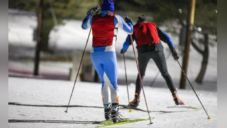Спортивный комментатор Губерниев выступил в защиту парка «Дружба» во Владимире 