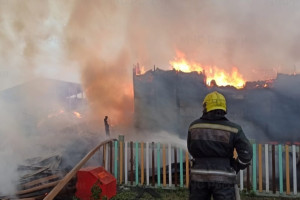 Во Владимирской области при пожаре спасли 28 лошадей