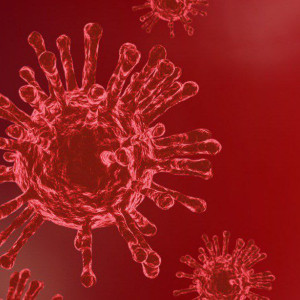 Коронавирусом заразились 26 владимирцев