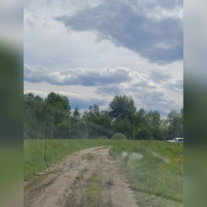 На администрацию Судогды подали в суд из-за ужасной дороги к деревне