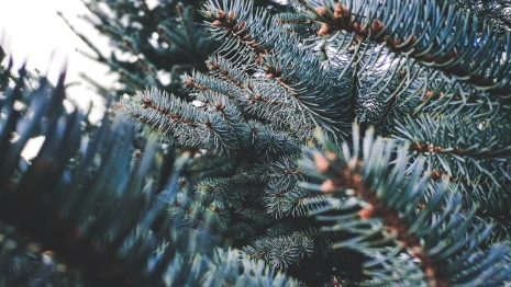 Прогноз погоды во Владимирской области на 29 ноября