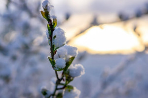 Прогноз погоды во Владимире и области на 27 февраля