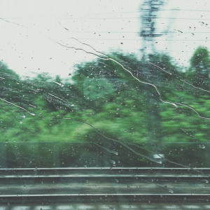 Во Владимирской области июнь закончится дождями и грозами