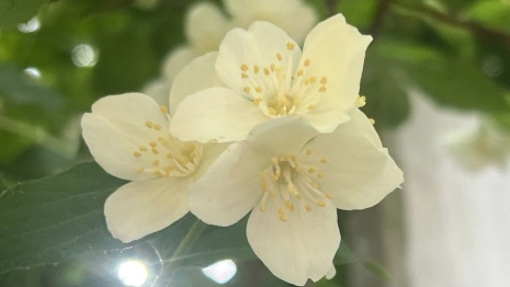 Прогноз погоды во Владимирской области на 12 июня