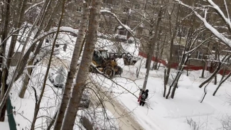 Во Владимирской области еще два района остались без света из-за снегопада
