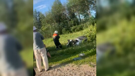 Во Владимирской области в ДТП с фурой погиб 29-летний водитель