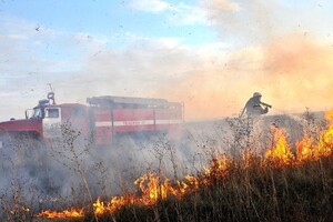 Во Владимирской области с начала пожароопасного сезона произошло 36 лесных пожаров