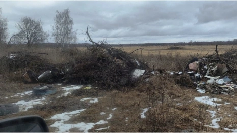В Собинском районе прокуратура потребовала ликвидировать стихийную свалку