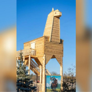 Самый большой арт-объект «Конь» из Владимирской области может попасть в Книгу рекордов