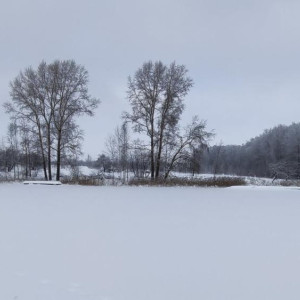 В Суздале снесли незаконно возведенную базу отдыха на берегу озера