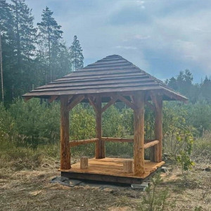 Во Владимирской области назвали лучшее место для отдыха в лесу