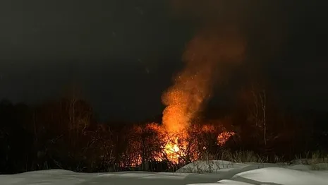 Пожар охватил дачи на окраине Владимира