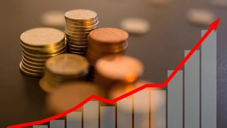 Глава Владимирской области распорядился поднять зарплаты бюджетникам