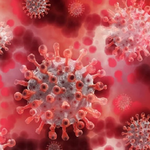 Во Владимирской области заболеваемость ковидом снизилась до 40 случаев за сутки