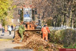 С улиц Владимира за неделю вывезли 60 тонн мусора
