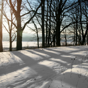 Во Владимирской области январь закончится плюсовой температурой
