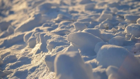 Во Владимире создали резерв из 200 дворников