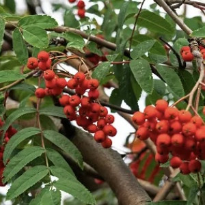 День Петра и Павла: что можно и нельзя делать 23 сентября