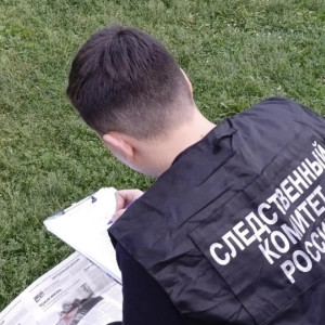 Жителя Камешковского района будут судить за жестокое убийство матери