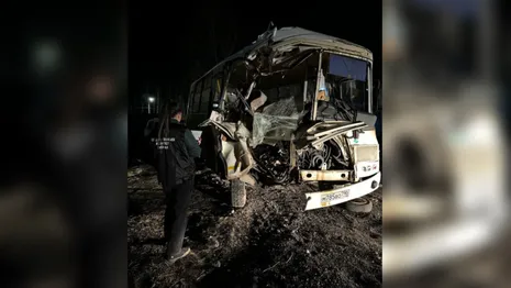 Водителя автобуса будут судить за ДТП с 15 пострадавшими на М-7 под Петушками