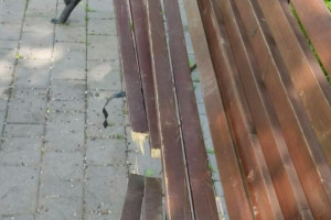 Во Владимире стали чаще портить лавочки в парках