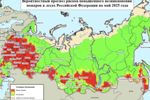 В мае во Владимирской области спрогнозировали высокую пожарную опасность