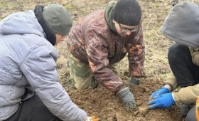 Владимирские поисковики обнаружили останки 13 красноармейцев