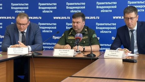 На обработку лесов от гусениц шелкопряда во Владимирской области потратят 6,7 млн рублей