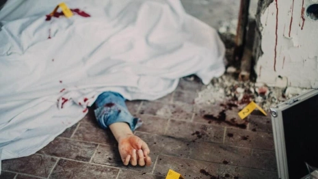 В Александрове ребенок нашел в сарае тело жестоко убитой матери