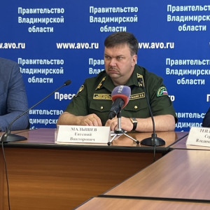 На обработку лесов от гусениц шелкопряда во Владимирской области потратят 6,7 млн рублей