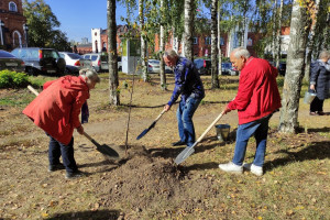 Во Владимире к 175-летию основания драмтеатра высадили 13 берез