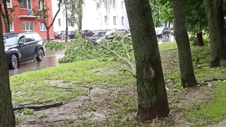Последствия урагана «Эдгар» во Владимире показали на фото