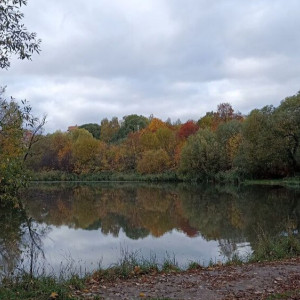 Во Владимире парк у ДТЮ благоустроят через 3 года
